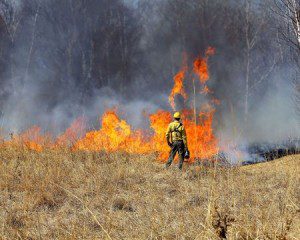 prescribed burn