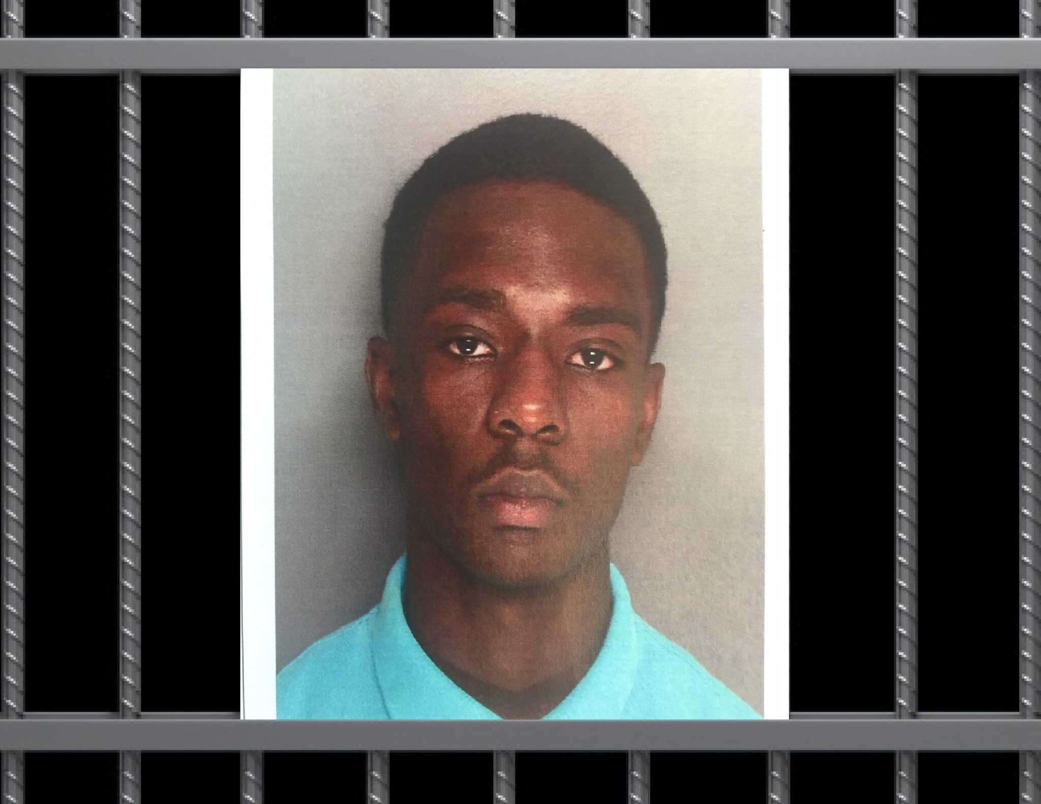 Pictured: Darius Hamilton (Via Berkeley County Sheriff's Office)