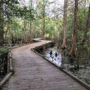 Old Santee Canal Park In Moncks Corner To Close Friday | The Berkeley ...