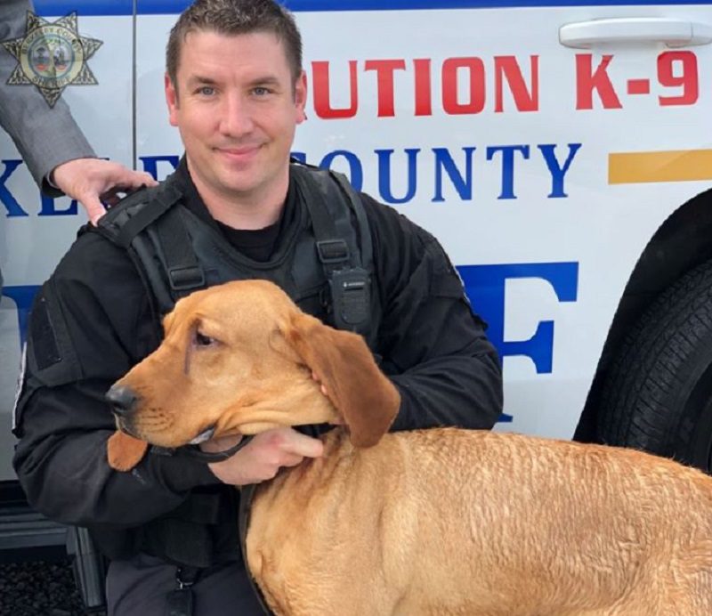 A Berkeley County mother is breathing a sigh of relief now that her 9-year-old son is safe and sound thanks, in part, to a smart-thinking BCSO Bloodhound.