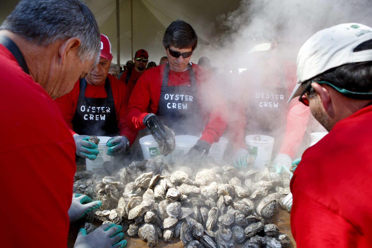 Shuckin’ In The Park Oyster Roast Canceled For 2022 The Berkeley Observer