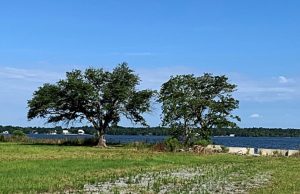 Berkeley County Receives $1M SCDNR Grant For Mega Boat Landing Project