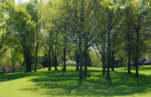 Berkeley County Creates Conservation Commission To Steer Future “Greenbelt” Projects