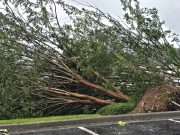 Residents, Businesses Encouraged to Report Storm Damage