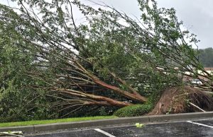 Residents, Businesses Encouraged to Report Storm Damage