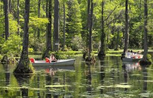 Cypress Gardens Goes Free for Locals June 14