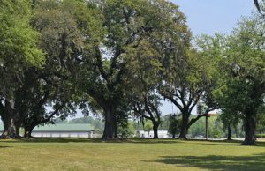 Berkeley County, Moncks Corner to Develop Epson Oaks Into Public Park