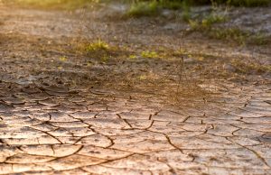 May Showers Ease Drought Conditions for Berkeley County