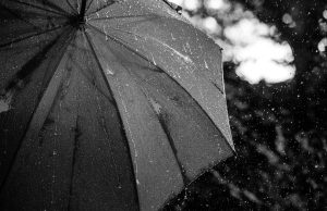 Berkeley County Prepares for Heavy Rain, Tropical Threat
