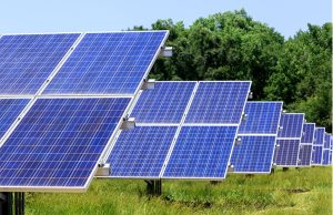 Divided Berkeley County Council Lifts Moratorium for Massive Cross Solar Project