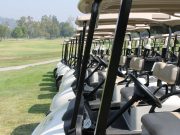 Before You Drive That Golf Cart in Berkeley County, Make Sure You’re Legal.