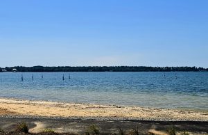 Lions Beach at Berkeley County Waterfront Park to Open June 29